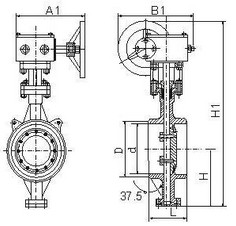 焊接蝶阀结构图